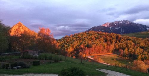 La Serre de Marou photo 22