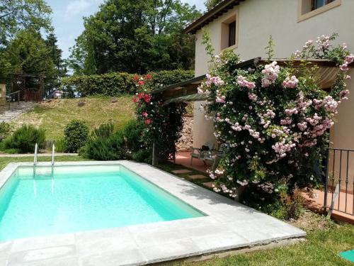 Villa nel verde | civico 2 - image 2