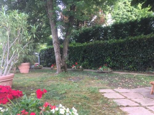 B&B Villa Luisa - image 8