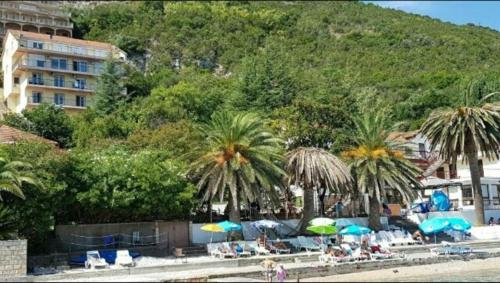 Apartman Matija in Njivice