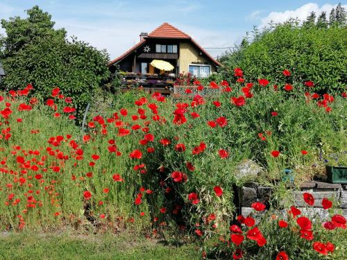 Apartments Krista - image 3