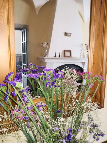 Hotel Casa Tinoco - image 13