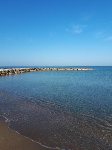 Il canto delle Sirene 5