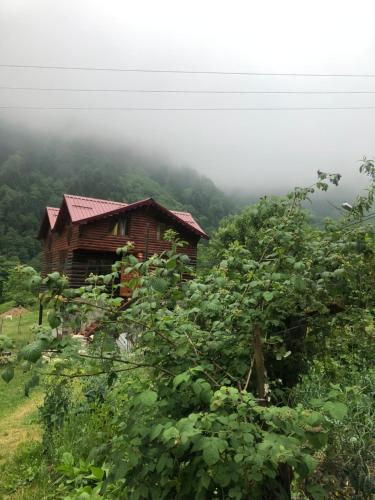  Çamdibi konaklama, Çamlıhemşin bei Dernek