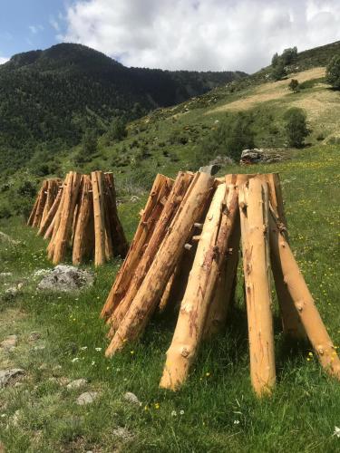 Acogedora casita en el Pallars