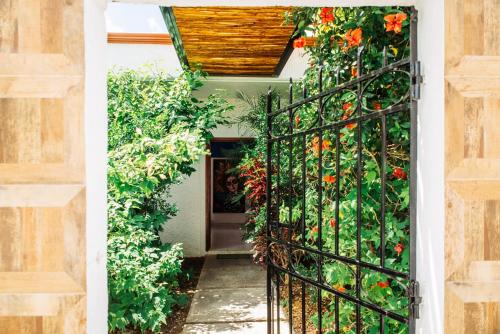 Kinta Kan Hotel Cozumel