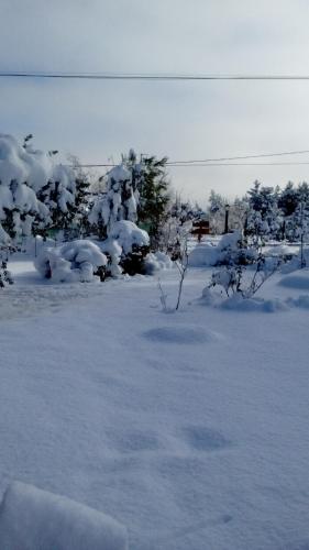 外部景觀, Montalto in 迪納華皮