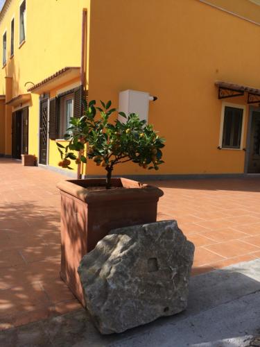  La Villetta Apartments in Castel Gandolfo