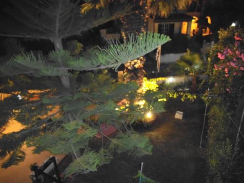 Villa Xenos - image 5