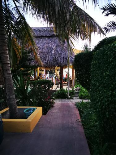 Surrounding environment, Casa Xu´unan in Sisal