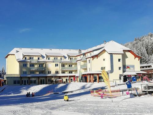 Blackforest Lounge direkt an der Skipiste, Ski in & Ski out, Skischule im Haus, Startpunkt für Wanderungen - Apartment - Feldberg