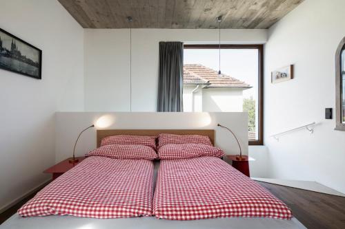 Cologne Country Lodge, Cologne (photo 6)