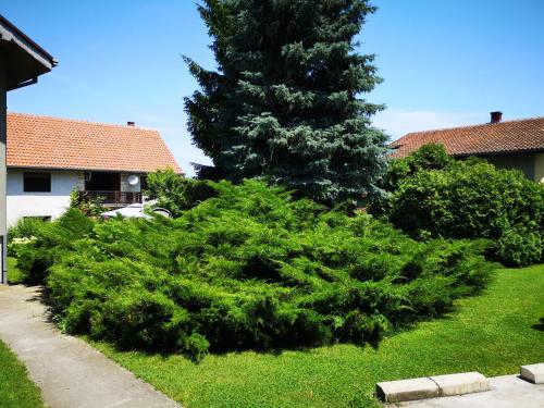 . Apartment Dedine Golubac