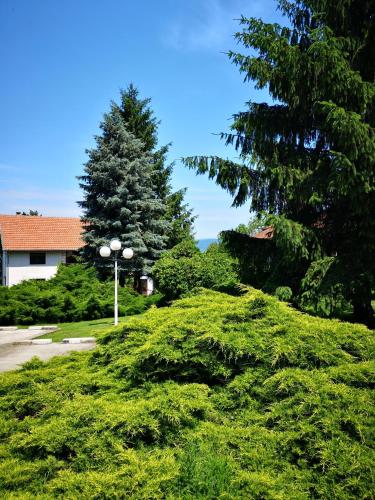 Apartment Dedine Golubac