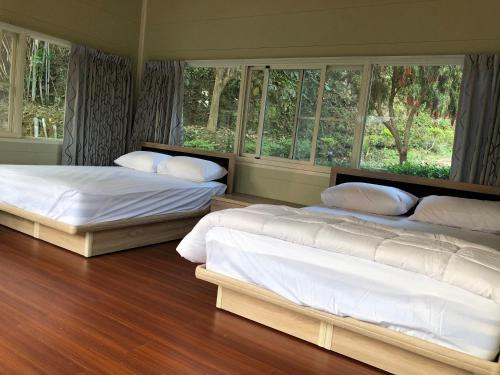 Yiyue Guanhe Homestay 倚月觀荷民宿