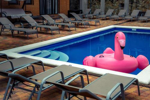 El verano - image 14