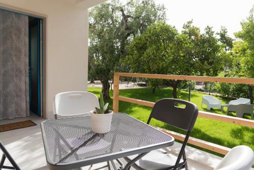 Scilla Marina 4
