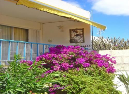 Casa Limona - In Teneriffas Sonnigem Süden - image 4