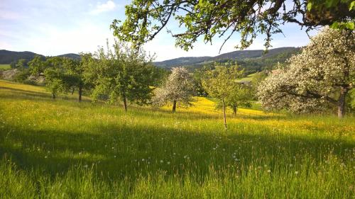 Ferien vom Ich, Bayerischer Wald, Hotel & Restaurant