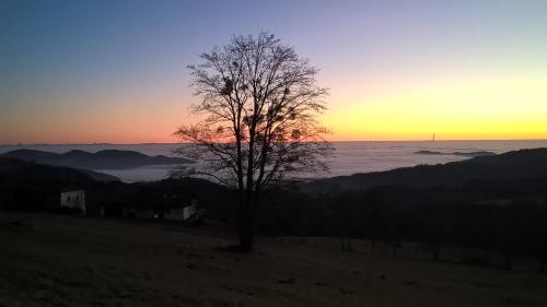 Ferien vom Ich, Bayerischer Wald, Hotel & Restaurant