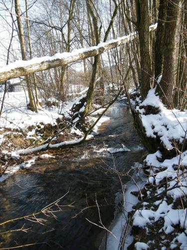 Ferien vom Ich, Bayerischer Wald, Hotel & Restaurant