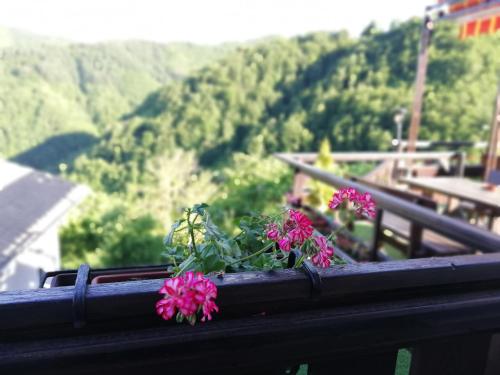 Rodopsko Katche, Alamovtsi (фото 5)