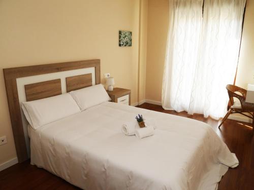  Apartamento turisticos Puente Romano P4 1-A, Pension in Salamanca bei Rad