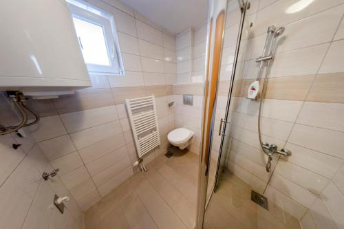 Apartment Resaa - image 4