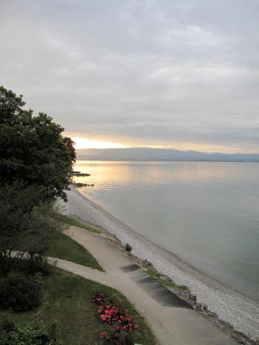 Hôtel De La Plage - image 5
