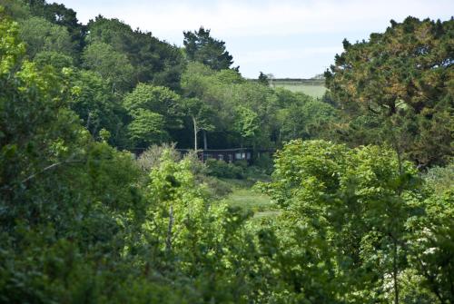 Churchwood Valley - image 13