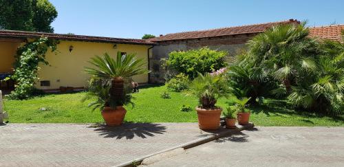 Villa il Lauro – Pisa, MN