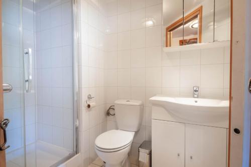 CHAMOIS D'OR 1 - image 8