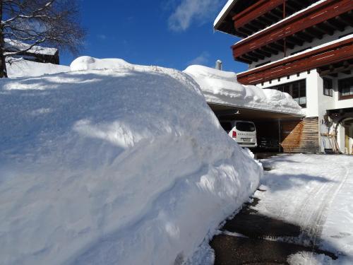Der Berghof - image 7