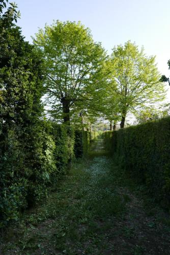 Villa Cavalletti Camere - image 4