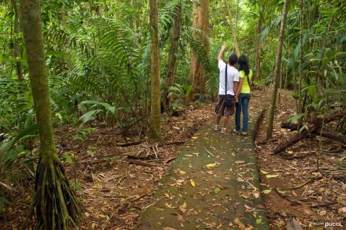 La Selva Biological Station