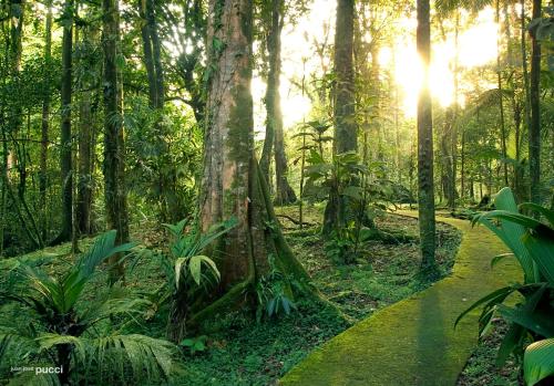 La Selva Biological Station