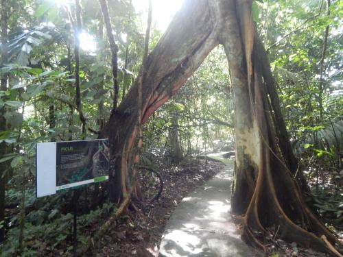 La Selva Biological Station