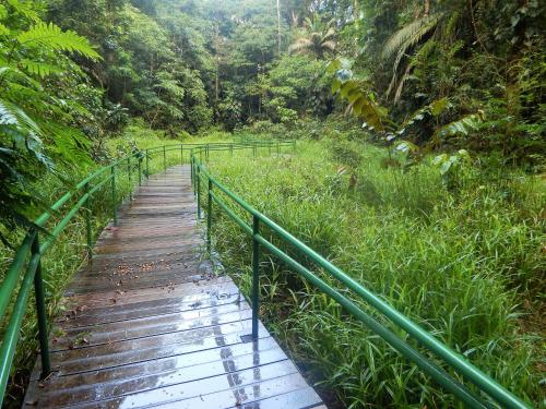 La Selva Biological Station