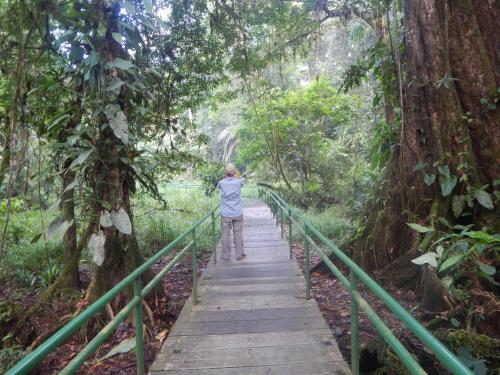 La Selva Biological Station