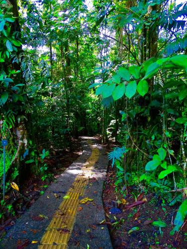 La Selva Biological Station