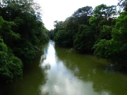 La Selva Biological Station