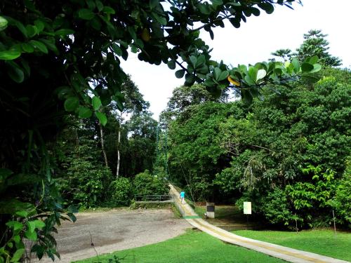 La Selva Biological Station