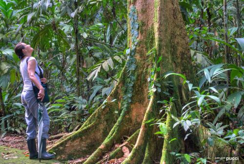 La Selva Biological Station