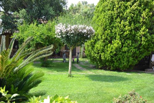 Agriturismo Marila’ - image 2