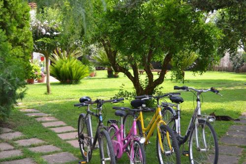 Agriturismo Marila’ - image 6