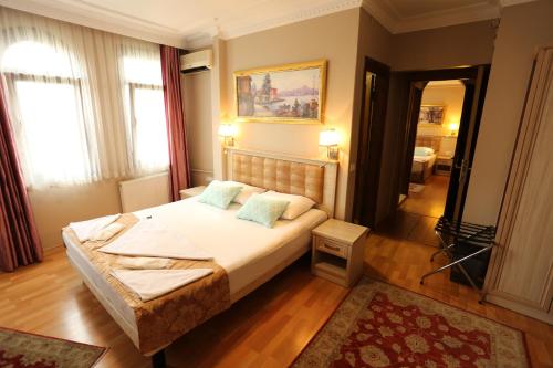 Hotel Tashkonak Istanbul - image 2