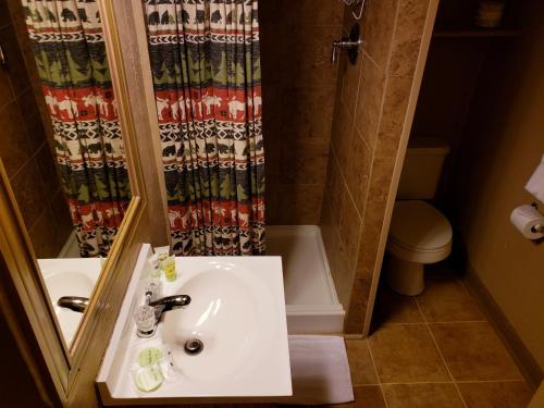 San Juan Motel Cabins In Pagosa Springs Trabber Hotels