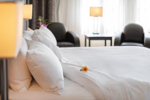 Imperia Hotel & Suites Saint-Eustache