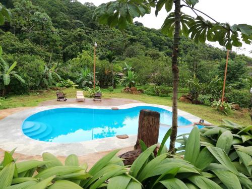 Swimming pool, Hotel Catarata Rio Celeste in Bijagua De Upala
