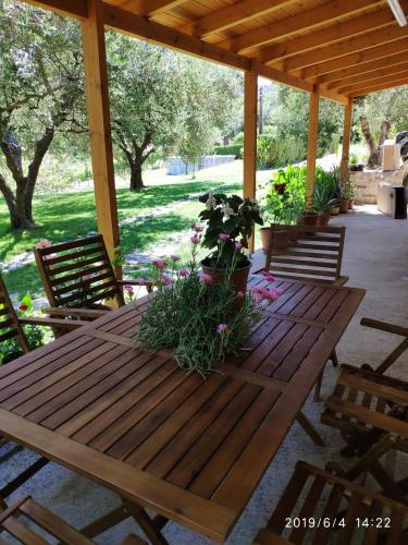Facilities, Green Farm-small paradise! in Nikos Kazantzakis